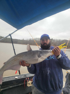 Catfish Frenzy at High Rock